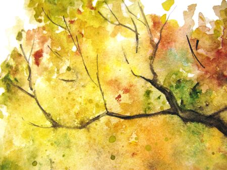 Watercolor autumn yellow orange green tree leaf foliage branch texture background.の写真素材