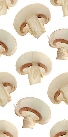 Champignon mushroom plant food macro photo seamless pattern texture background.の写真素材