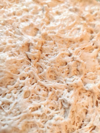 Raw yeast dough baking cooking texture background macro photo.