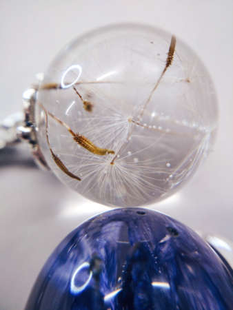 Dried dandelion blowball flower plant epoxy resin ball ring necklace pendant jewelry macro photo.