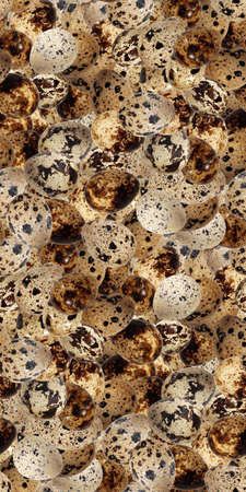 Quail eggs bird diet food kitchen photo seamless pattern texture craft background.