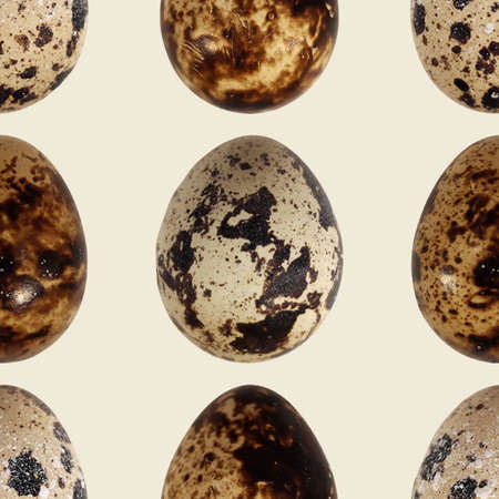 Quail eggs bird food kitchen photo seamless pattern texture background.の写真素材