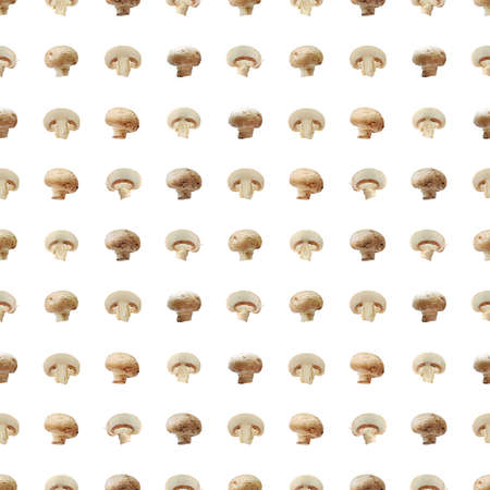 Champignon mushroom plant food macro photo seamless pattern texture background.の写真素材