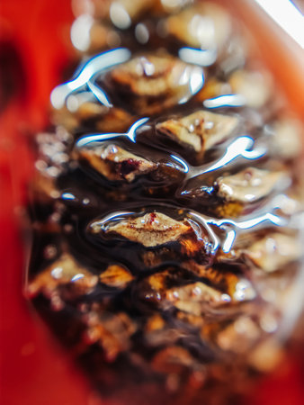 Sweet tasty pine cone jam confiture delicacy food macro photo.の写真素材