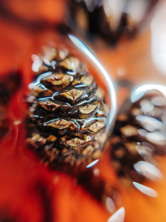 Sweet tasty pine cone jam confiture delicacy food macro photo.