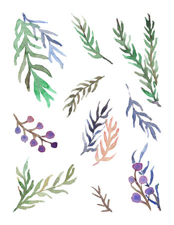 Watercolor hand drawn green violet branch leaf berry floral isolated element art set.の写真素材