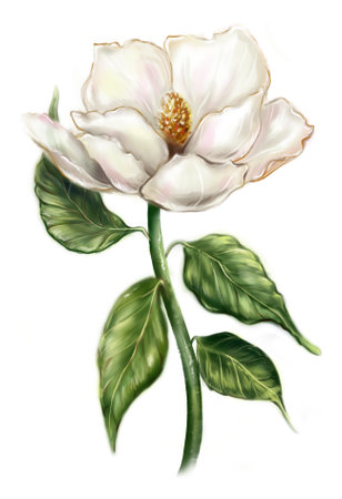 Beautiful pearly white ivory Magnolia flower leaf branch plant tree bush computer graphic digital watercolor isolated art.の写真素材