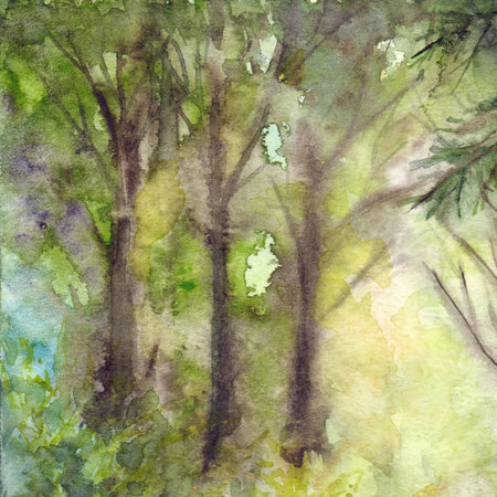Morning sunlit foliage of trees in the forest wood in nature. Hand drawn watercolor illustration art.の写真素材