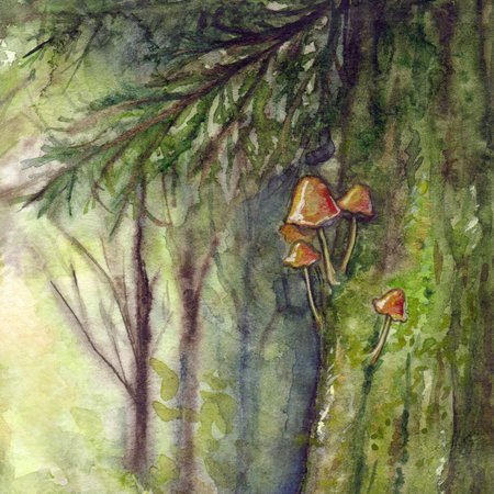 Sunlight forest wood coniferous tree spruce pine trunk with mushrooms and moss. Hand drawn watercolor illustration artの写真素材
