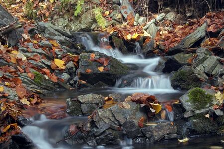 Shot of a autumn creekの写真素材