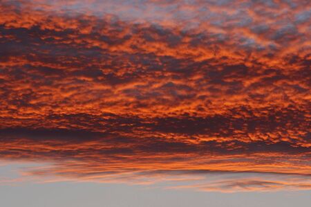 Shot of the rosy sky
