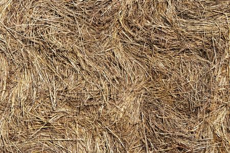 pressed straw - straw balesの写真素材