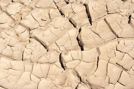 cracked ground - dry season