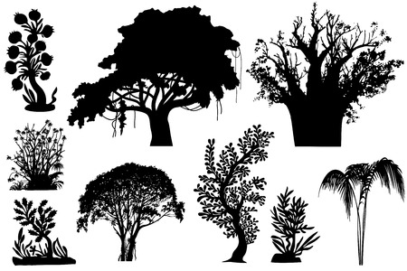  various African trees and bushes - Vectorのイラスト素材