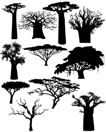  various African trees and bushes - vectorのイラスト素材