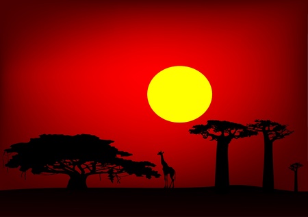 Africa sunset  - vectorのイラスト素材