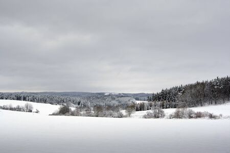 winter landcape - meadows, fields and forestの写真素材