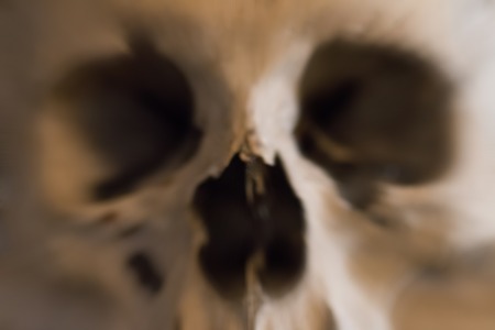 human skull - blured - fear and trembling