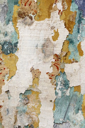 cracked plaster - grunge background