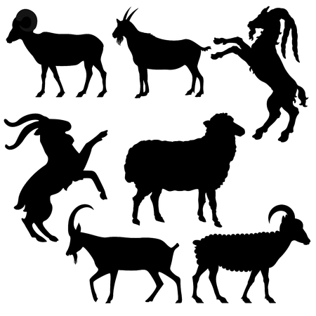 Vector illustration of the zodiac sign - Goatのイラスト素材