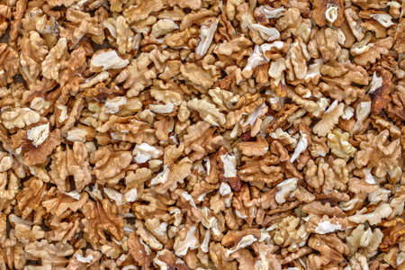 Kernels of walnut - the source of vitamins and mineralsの写真素材