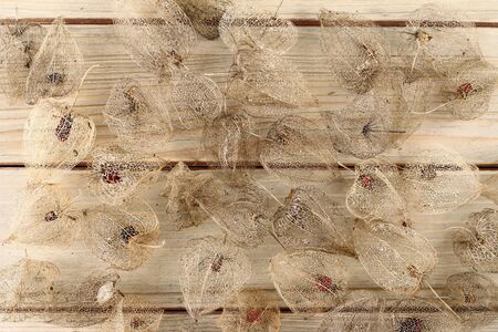 Detail of the dried fruits of Cape gooseberry on wooden boardの写真素材