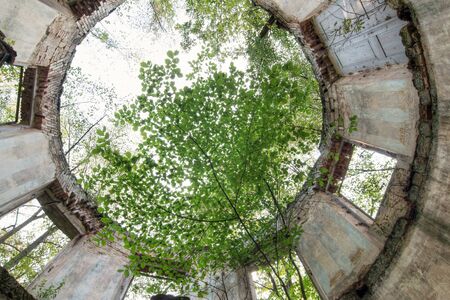 Abandoned old ruin in the woods - Summerhouseの写真素材