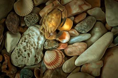 Various sea pebbles with shellsの写真素材