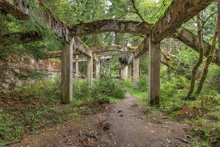 Former mine and war prison camp Rolava older name was Sauersack. After the war the mine dilapidated and today there are only ruins. Ore Mountains, Czech Republic.の写真素材