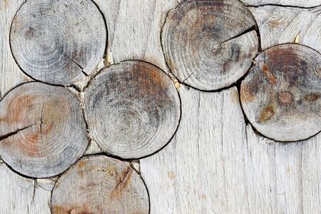 Detail of the wood texture with knots - knots in wood の写真素材