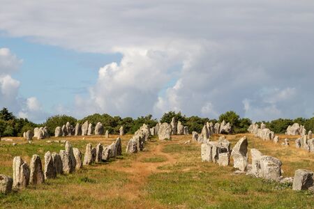 Alignements de Kermario, rivers of standing stones - Menhirs, the largest megalithic site in the world, Carnac, Brittany, Franceの写真素材