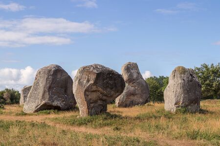 Alignements de Kermario, rivers of standing stones - Menhirs, the largest megalithic site in the world, Carnac, Brittany, Franceの写真素材