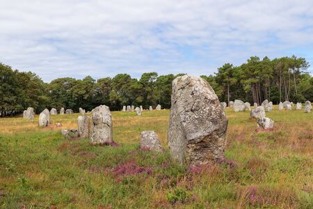 Menhirs of Alles of Kerlescan, rows of standing stones, the largest megalithic site in the world, Carnac, Brittanyの写真素材