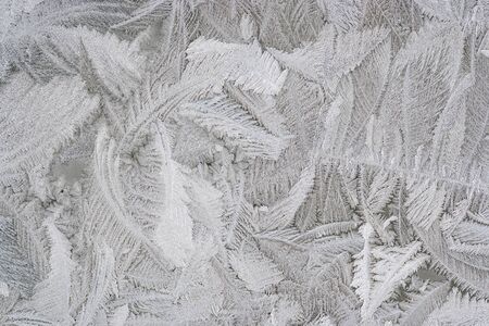Abstract detail of the frost flower on the windowの写真素材