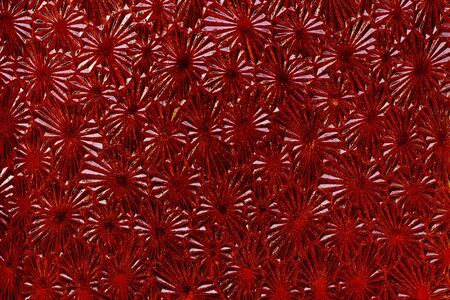 Ornate colored glass - detail of the surface - glass texture - patterned glassの写真素材