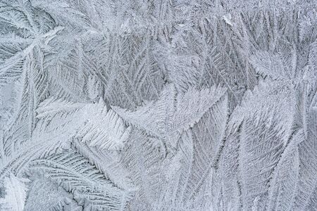 Abstract detail of the frost flower on the windowの写真素材