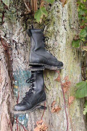 Old worn and broken hiking boots hanging on a treeの写真素材