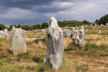 Alignements du Menec - Lines of Menhirs - standing stones - the largest megalithic site in the world, Carnac, Brittany, Franceの写真素材