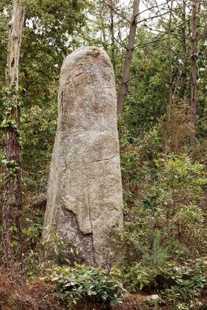 A lone menhir in a forest near Erdeven in Brittany, Franceの写真素材