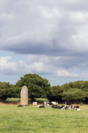 Menhir of Kerguezennec, Begard, Cotes-d'Armor department, Brittany, Franceの写真素材