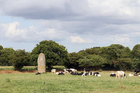 Menhir of Kerguezennec, Begard, Cotes-d'Armor department, Brittany, Franceの写真素材