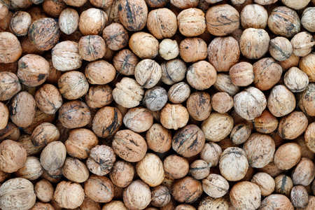 Heap of walnuts - autumn fruitsの写真素材