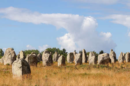 Carnac stones - Alignments of Kermario - rows of menhirs in Brittany, Franceの素材 [FY310164401352]