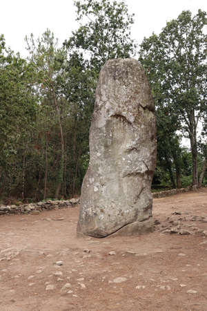 Geant du Manio - Giant of Manio - 6.5 meters high menhir is the largest menhir in Carnacの写真素材