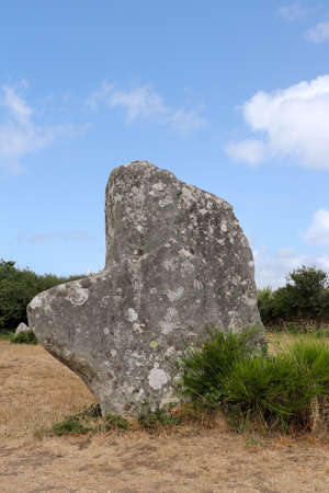 Alignment of Kerzerho - archaeological site with menhirs rows - located about 8 km northwest of Carnac in the village of Erdeven department of Morbihan in Brittany, Franceの写真素材