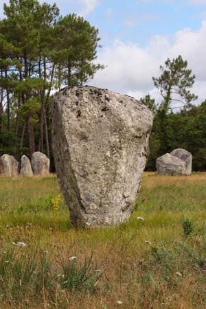 Menhirs of the Alignments of Kerlescan, rows of standing stones, the largest megalithic site in the world, Carnac, Brittany, Franceの写真素材