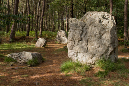 Group of menhirs near stone Chair of the Caesar, former part of Alignments of Kerzerho, Erdeven, Brittany, Franceの写真素材