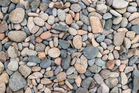 Detail of the various sea pebbles - gravel stonesの写真素材