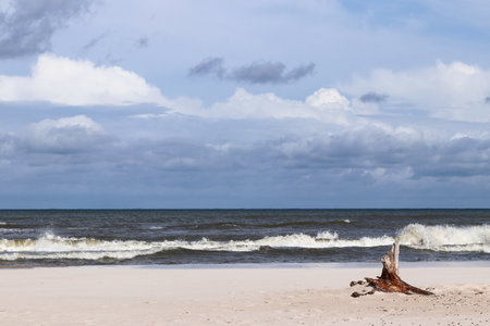 The coast of the Baltic Sea and the wild beach near the village of Leba in Polandの写真素材