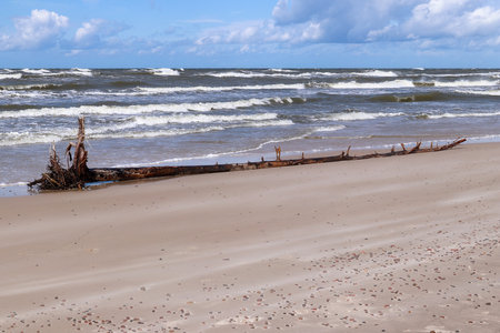 Baltic Sea coast and wild beach next to moving dunes in the Slovincian National Park also known as Slowinski National Park, Polandの写真素材